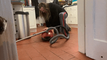 Idiot GIF