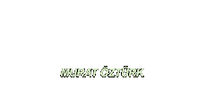 Sticker by Ozturk Fashion