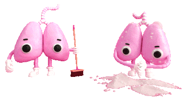 Animation Sticker