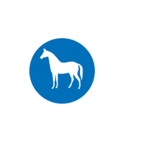 Horse Pferdeliebe GIF by Höveler Pferdefutter