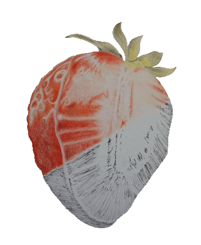 Strawberry Sticker