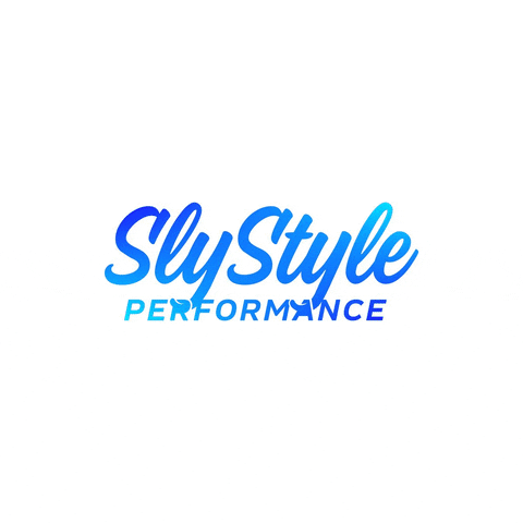 SlyStylePerformance GIF