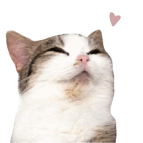 Cat Love Sticker by fru farkas