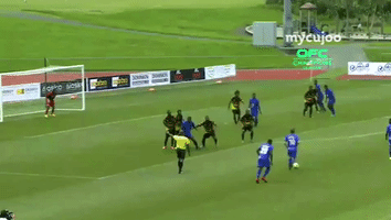 Ofc Champions League Meme GIF by ELEVEN SPORTS