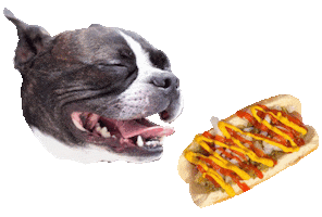 Vegan Stpete Sticker by Nah Dogs