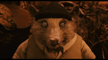 Wes Anderson What GIF by Searchlight Pictures