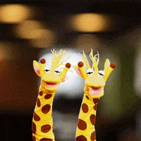200.gif