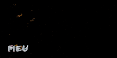 200.gif?cid=fc005b08f1902af59c5761f47d5970013d41e687500908e5&rid=200.gif&ct=g