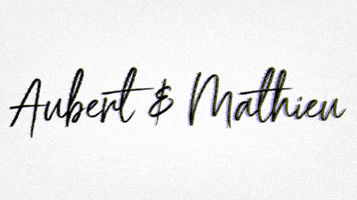 Aubert & Mathieu GIF