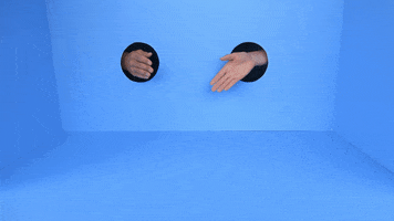 Lindyhengst GIF