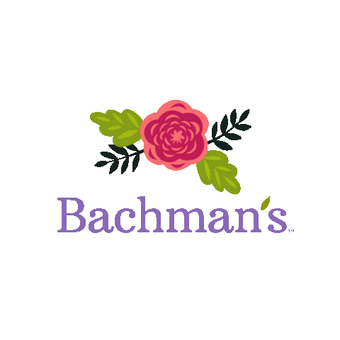 Flower Grow Sticker By Bachman'S Floral, Gif