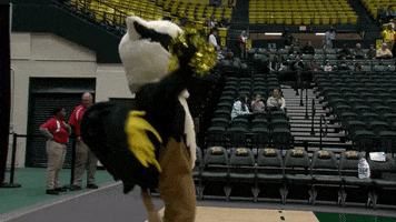 Cheering Griffin GIF by William & Mary Tribe Athletics