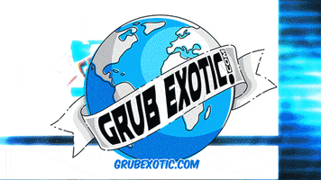 GrubExotic glitch candy sweets chips GIF