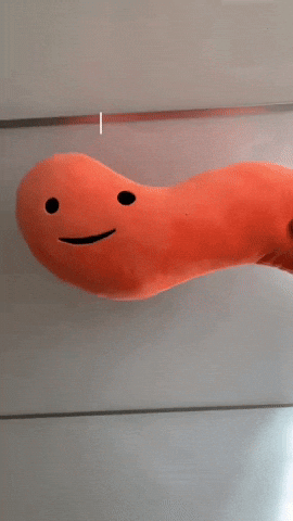 Appendix Appendicitis GIF by I Heart Guts