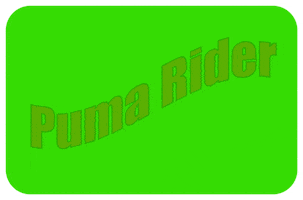 Rider Soledxb GIF by PUMA