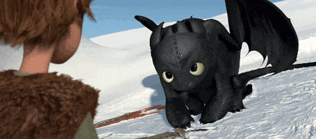 im sorry how to train your dragon GIF