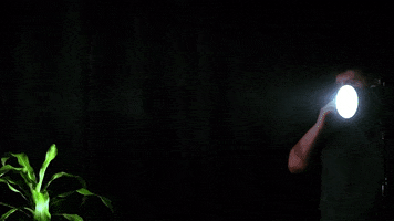 Tools420 GIF