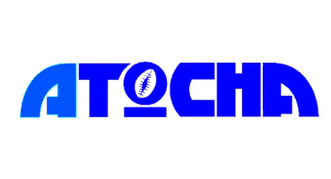 AtochaMiami GIF