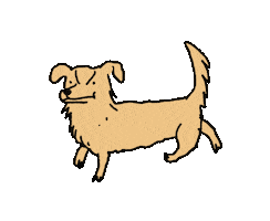 Dog Puppy Sticker by nixelpixel