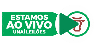 Unaileiloes Sticker by Unaí Leilões Oficial