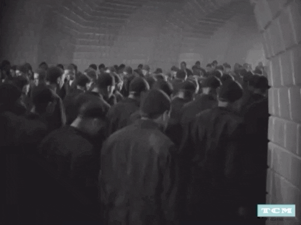 Turner Classic Movies sci-fi tcm iconic turner classic movies GIF