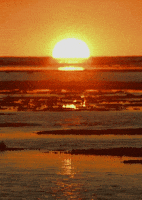 water love GIF