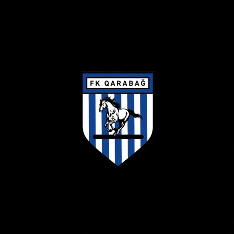 Qarabag GIF