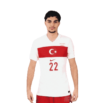 Ay Yildiz Millitakim Sticker by Kaan Ayhan