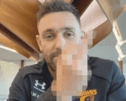 Hawthorn Hawks Afl GIF