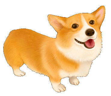 Dog Corgi Sticker for iOS & Android | GIPHY