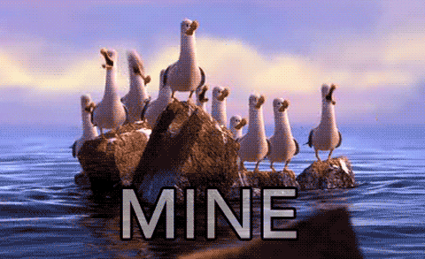 Finding Nemo Seagulls GIF - Find & Share on GIPHY