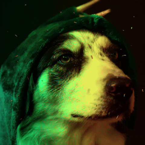 Dino Hund GIF