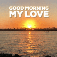 Good-morning-my-love GIFs - Get the best GIF on GIPHY