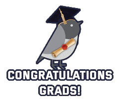 Graduation Graduate Sticker by Colegio Bilingue Cenzontle