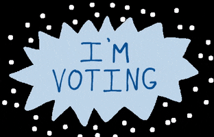 Voter GIF