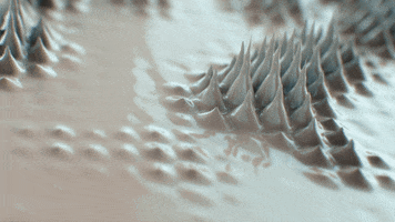 Hanber houdini calbeex GIF