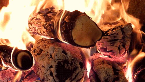 yule log fire GIF