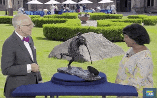 Interested Surprise GIF by ANTIQUES ROADSHOW | PBS