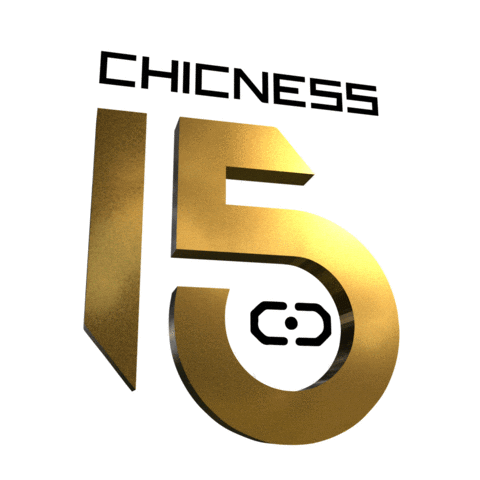 Chicness Music Experience Sticker by chicnessevents