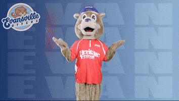 Baseball What GIF by Evansville Otters