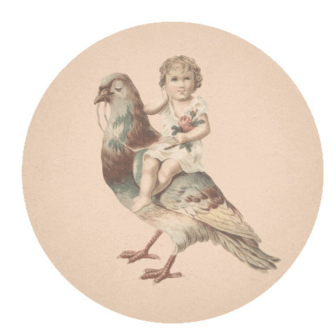 Sticker by Someday Jacob