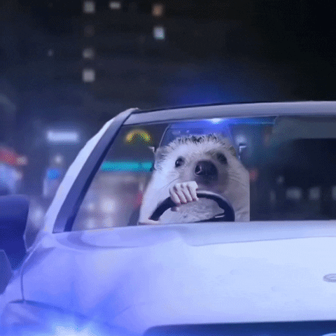 Police Hedgehog GIF