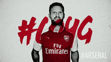 premier league football GIF by Arsenal