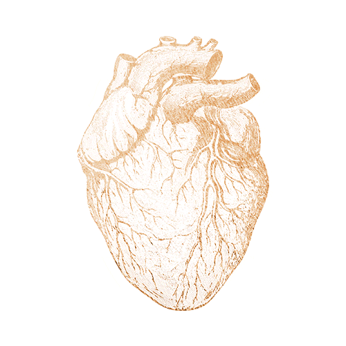 Heart Sticker by Ircad América Latina