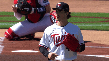 Minnesota Twins Wow GIF by MLB