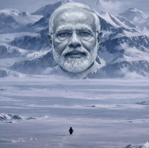 Rahul Gandhi Penguin GIF