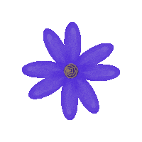 Sticker Flower Sticker