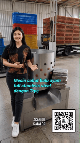 Indonesia GIF