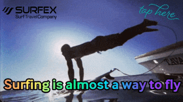 surfing surfex GIF by Gifs Lab