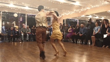 Samba Ballroom Dancing GIF by Dance Insanity